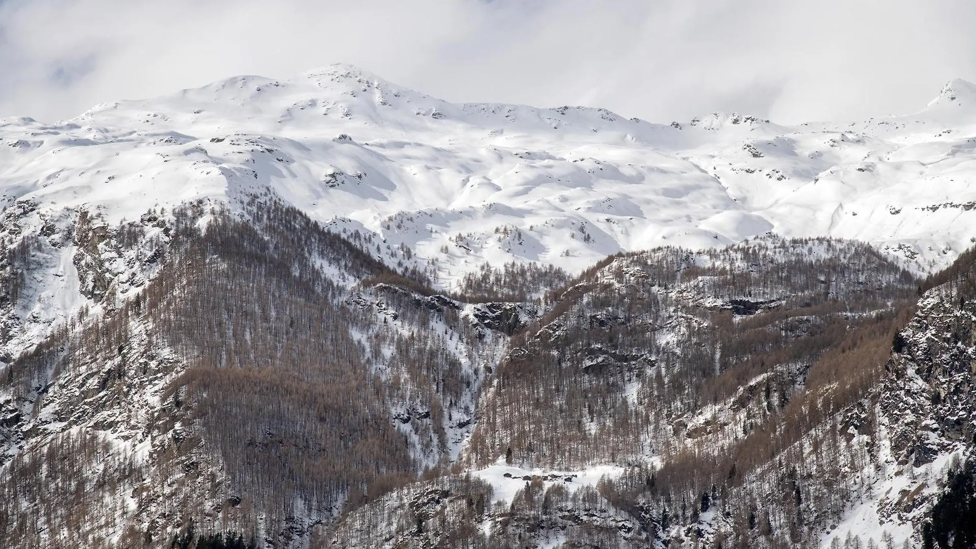Appartamento Residence Larice Bianco App N4 Campodolcino Italia