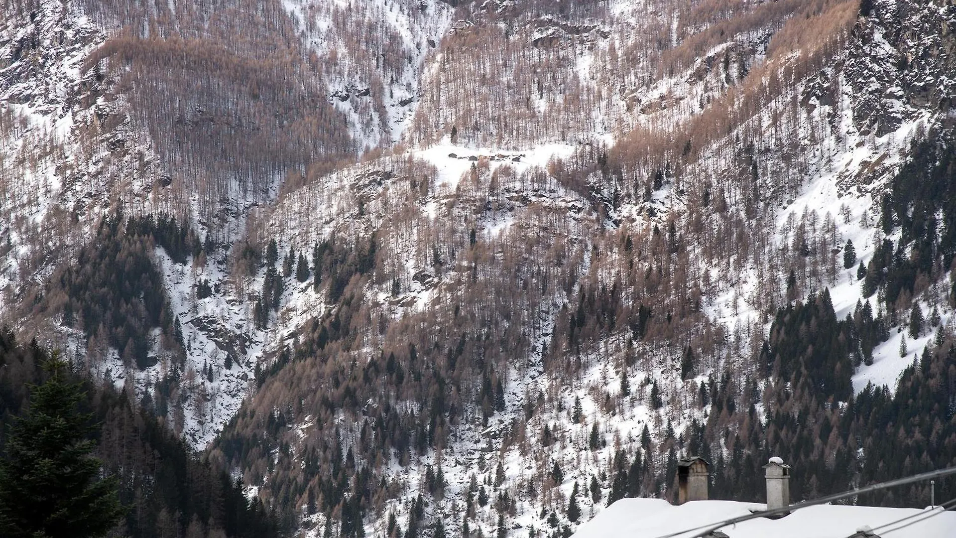 Residence Larice Bianco App N4 Campodolcino Apart Otel